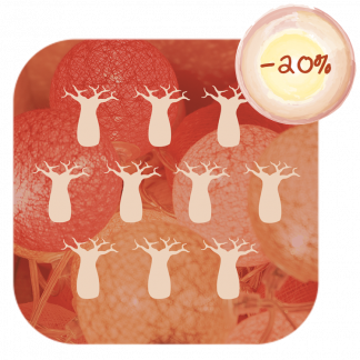 Carte cadeau 10 baobabs