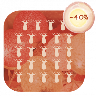 Carte cadeau 24 baobabs