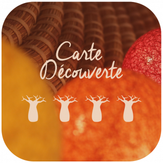 Carte cadeau Découverte