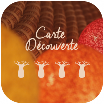 Carte cadeau Découverte